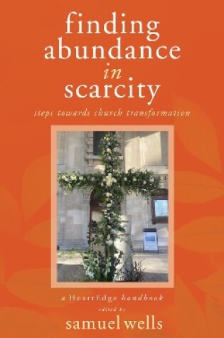 Cover of Finding Abundance in Scarcity