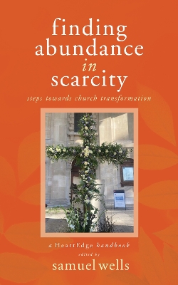 Book cover for Finding Abundance in Scarcity