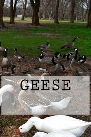 Cover of Geese