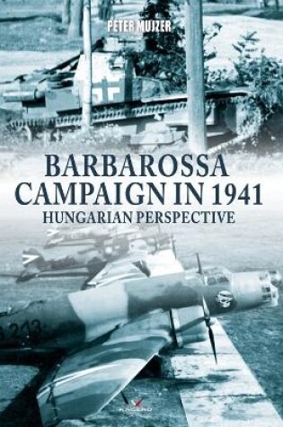 Cover of Barbarossa Campaign in 1941