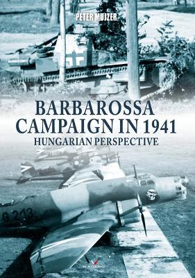 Book cover for Barbarossa Campaign in 1941