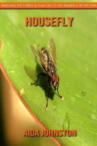 Cover of Housefly