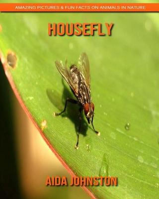 Book cover for Housefly