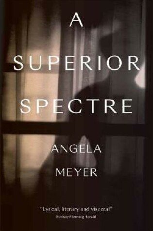 Cover of A Superior Spectre