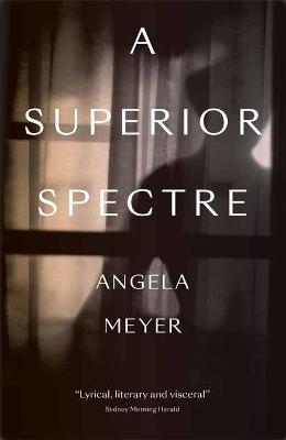 Book cover for A Superior Spectre