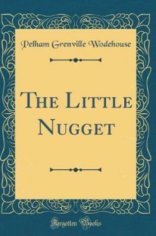 Cover of The Little Nugget (Classic Reprint)