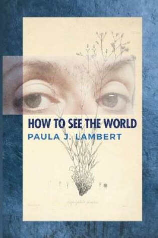 Cover of How to See the World