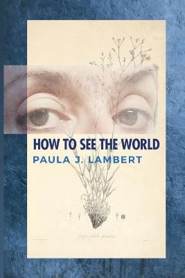 Book cover for How to See the World