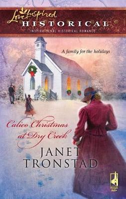 Book cover for Calico Christmas at Dry Creek