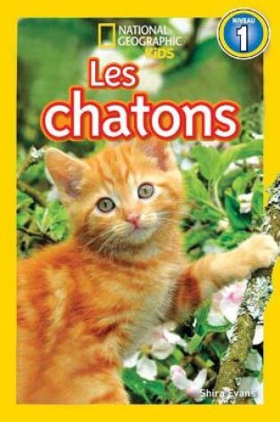 Cover of National Geographic Kids: Les Chatons (Niveau 1)