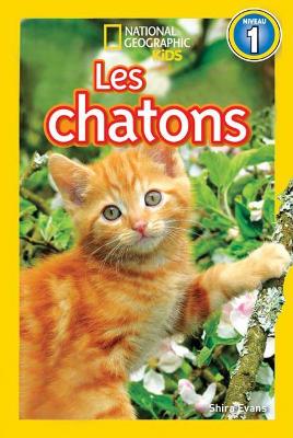 Cover of National Geographic Kids: Les Chatons (Niveau 1)