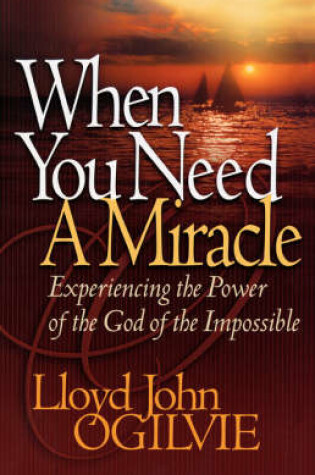 Cover of When You Need a Miracle