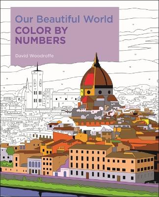 Book cover for Our Beautiful World Color by Numbers