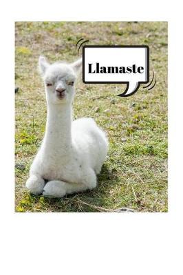 Book cover for Llamaste