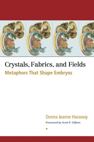 Cover of Crystals, Fabrics, and Fields