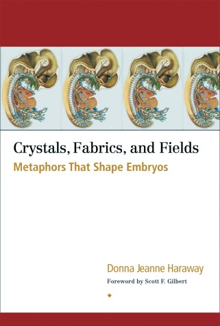 Cover of Crystals, Fabrics, and Fields