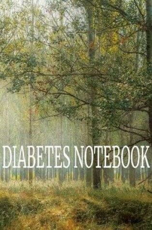 Cover of Diabetes Notebook