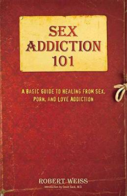 Book cover for Sex Addiction 101