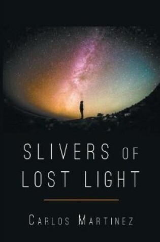 Cover of Sliver of Lost Light