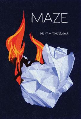 Book cover for Maze