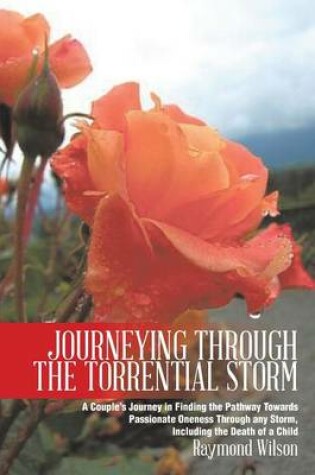 Cover of Journeying Through the Torrential Storm