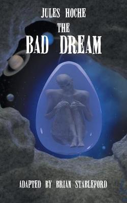 Book cover for The Bad Dream