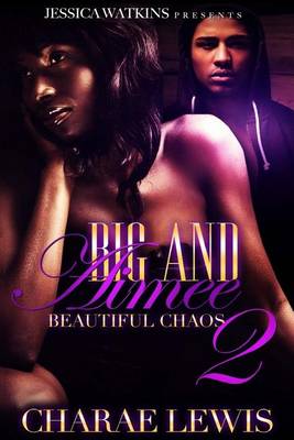 Book cover for Big and Aimee 2