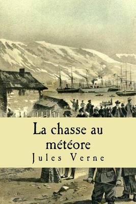 Book cover for La chasse au meteore
