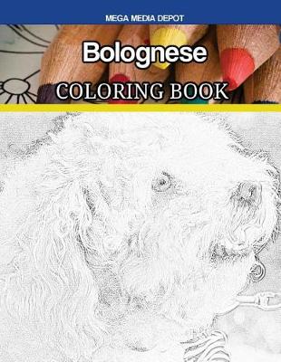 Book cover for Bolognese Coloring Book