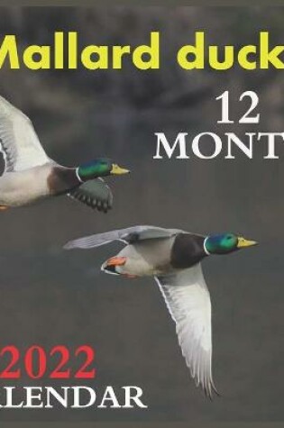 Cover of Calendar 2022 Mallard ducks 12 MONTH