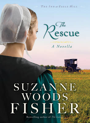 Book cover for The Rescue