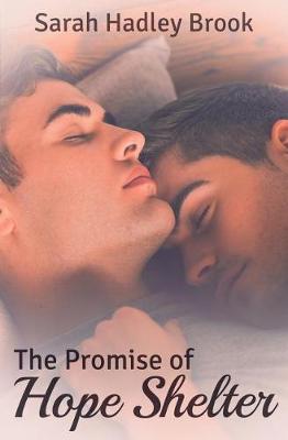 Book cover for The Promise of Hope Shelter