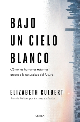 Book cover for Bajo Un Cielo Blanco