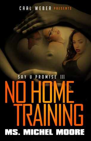 Book cover for No Home Training