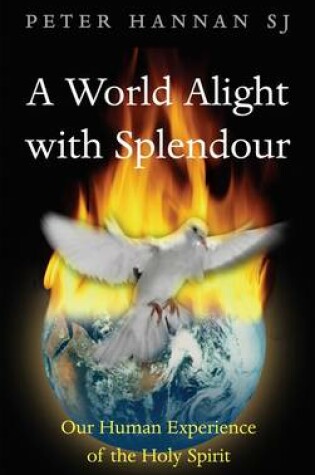 Cover of Alight with Splendour