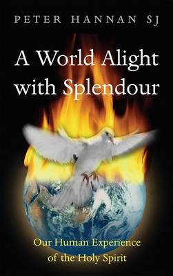 Book cover for Alight with Splendour