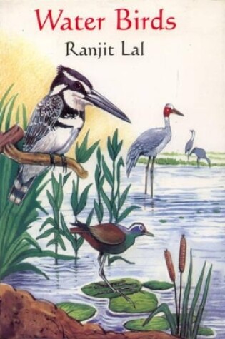 Cover of Water Birds