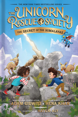 Cover of The Secret of the Himalayas