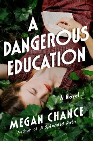 Cover of A Dangerous Education
