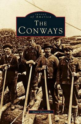 Book cover for Conways