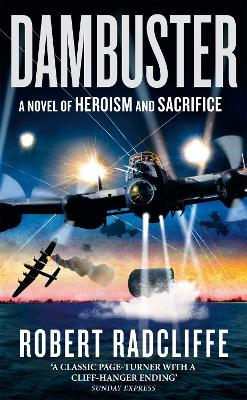 Book cover for Dambuster