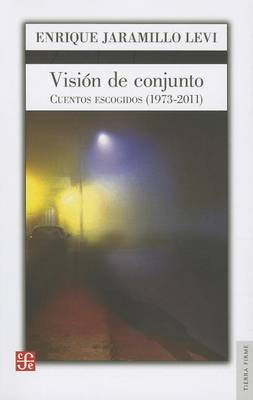 Book cover for Vision de Conjunto