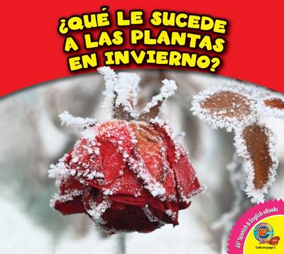 Cover of Que Le Sucede a Las Plantas En Invierno?