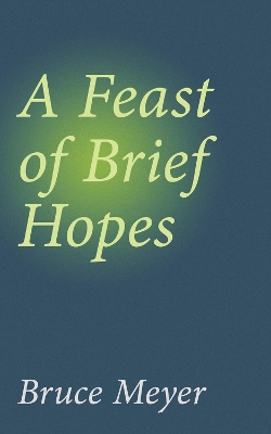 Book cover for A Feast of Brief Hopes