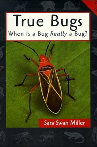 Cover of True Bugs