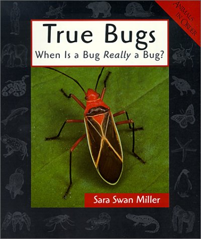 Book cover for True Bugs