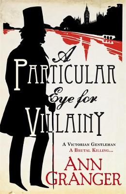 Cover of A Particular Eye for Villainy