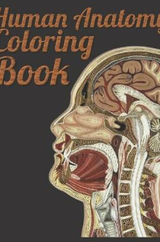 Cover of Human Anatomy Coloring Book