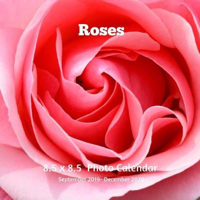 Book cover for Roses 8.5 X 8.5 Calendar September 2019 -December 2020