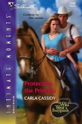 Cover of Protecting the Princess